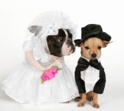 jak zrozumie� faceta